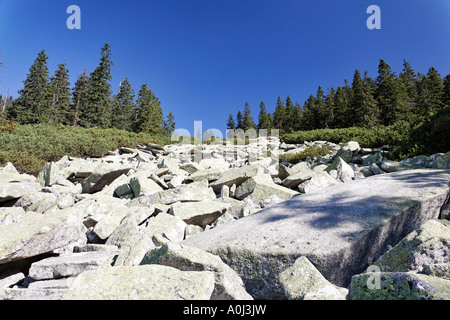 Steinernes Meer (stony ocean) at mountain Ploeckenstein in Bavarian Forest, Lower Bavaria, Germany Stock Photo