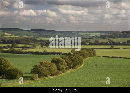 Gade Valley from Ivinghoe Hills Bucks UK Stock Photo