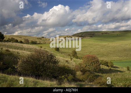 Ivinghoe Hills Buckinghamshire UK October Stock Photo