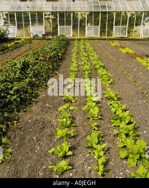 frounds of forde abbey estate dorset england Stock Photo