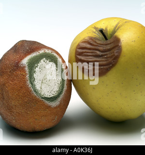 Rotten orange and rotten Golden Delicious apple Stock Photo