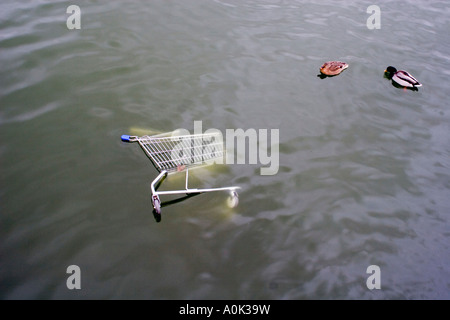 A shopping trolly in water with two ducks Stock Photo