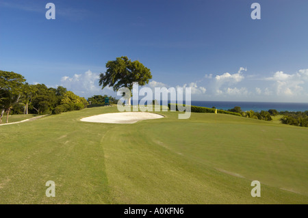 Golf course, Tryall Club, Golf Resort, Jamaica Stock Photo
