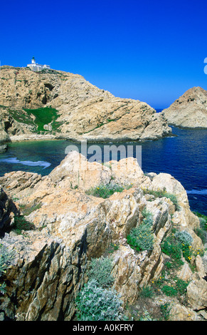 seacoast in ile rousse, balagne, corsica, france, europe Stock Photo