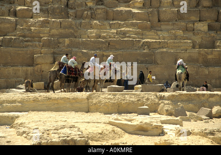 Camels with their drivers waiting for  tourist visiting the Giza Pyramids,Egypt. Stock Photo