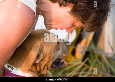 Noah best sale animal shelter