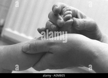 Baby being massaged with oil Picture by Andrew Hasson 1990 Stock Photo