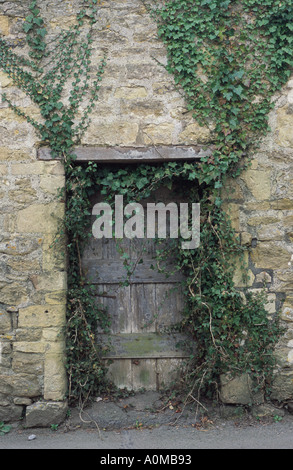 Wooden garden door concealed in a brick wall Bath Spa, Somerset England UK Stock Photo