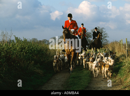 Foxhunting The Quorn hunt in Leicestershire England Stock Photo
