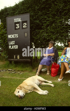 Cheshire Sport Cholmondeley Castle cricket ground spectators with dog Stock Photo