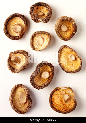 DRIED SHITAKE MUSHROOMS Stock Photo