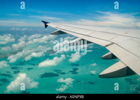 Wing over the Caribbean Stock Photo