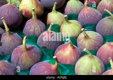 Group of beautiful figs in market Stock Photo