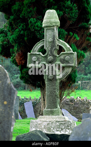 The North Cross, one of the 2 Ahenny Celtic high crosses in monastic site of Kilclispen, Carrick-on-Suir, Co. Tipperary, Ireland Stock Photo