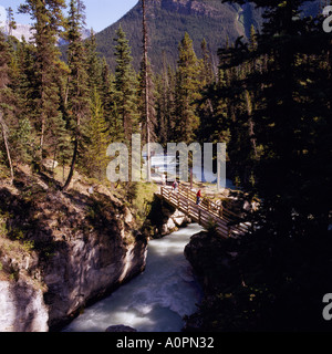 Tokumm Creek rushes through the Marble Canyon in Kootenay National Park in the Canadian Rockies in British Columbia Canada Stock Photo