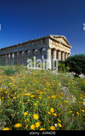 Ancient Greek temple ruins with Doric columns and stone structure ...
