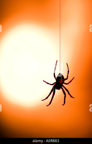 garden spider araneus diadematus in back light of a street lamp digital treated Stock Photo