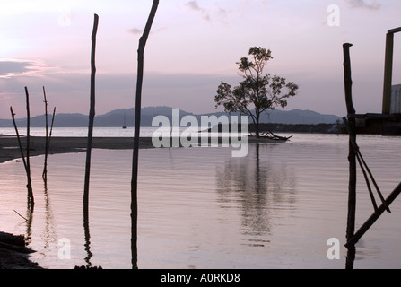 Tree Reflected in Water at Dusk Pulau Langkawi Malaysia Stock Photo