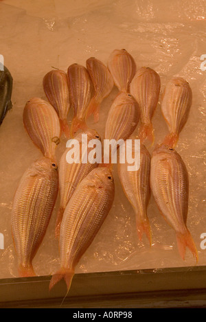 dh Tai Po Market food stall TAIPO WET MARKETS HONG KONG NT Whole raw fish on ice shop display china fishmonger Stock Photo