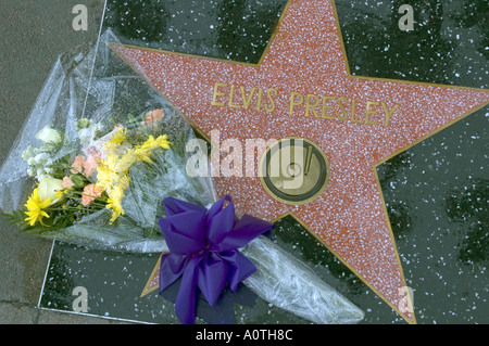 flowers left on the Hollywood Walk of Fame star for Elvis Presley on what would have been his 70th Stock Photo