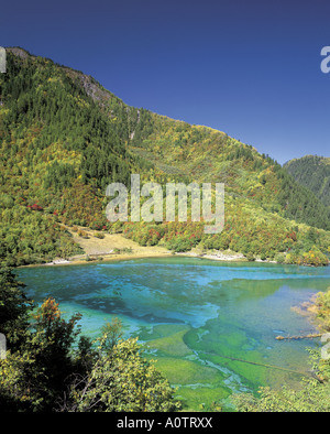 WuHua Hai Five Flower Lake JiuZhaiGou World Heritage Stock Photo - Alamy