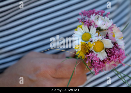 Woman's hand holding a bunch of flowers Stock Photo