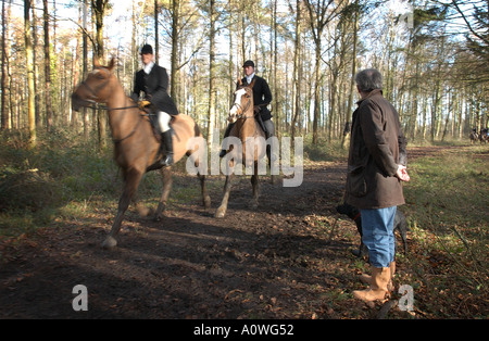 A spectator watches as riders gallop past during a fox hunt in West Sussex, UK. Stock Photo