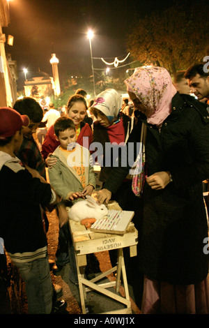 Fortune telling rabbits Istanbul Turkey Stock Photo - Alamy