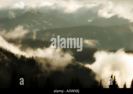 Misty morning over the Bailey range mountains in Olympic National Park as seen from Obstruction Point road-Washington, USA. Stock Photo