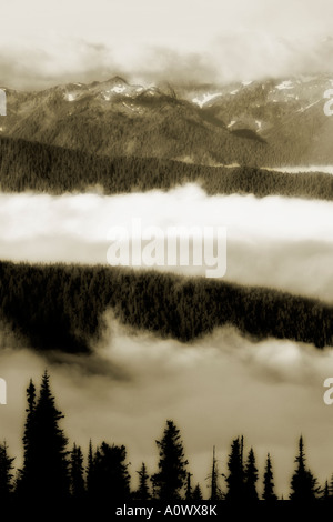 Misty morning over the Bailey Range mountains in Olympic National Park-Note-Digitally converted to black and white. Stock Photo