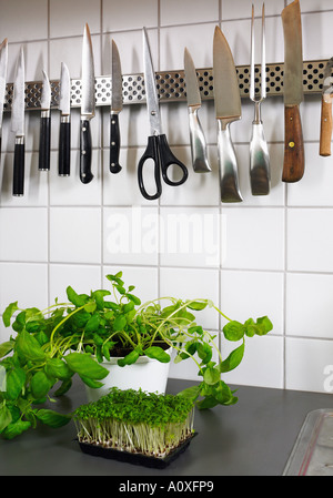 Herbs and utensils in a kitchen Stock Photo
