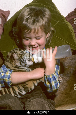 4 year old Megan Whittaker with hand raised Indian tiger cub (Panthera tigris tigris). Howletts Zoo Park, Kent, UK Stock Photo