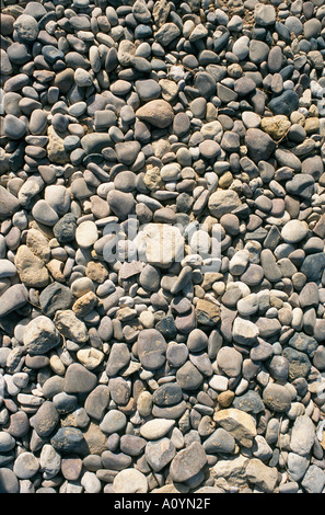 Pebbles on Beach Stock Photo