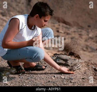 Young boy feeding nuts to a chipmunk, Fuerteventura Canary islands Spain. Stock Photo