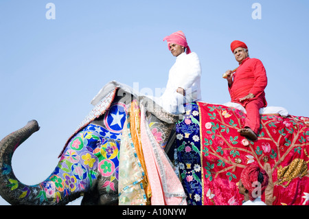 Low angle view of a young man and a senior man riding an elephant, Elephant Festival, Jaipur, Rajasthan, India Stock Photo