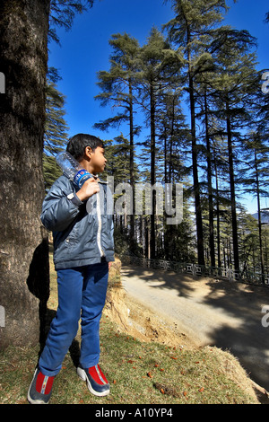 Boy with Mineral Water Bottle, Deodar Cedar Trees, Dhanaulti, Mussoorie, Tehri Garhwal, Uttarakhand, India, Asia, MR#650 Stock Photo