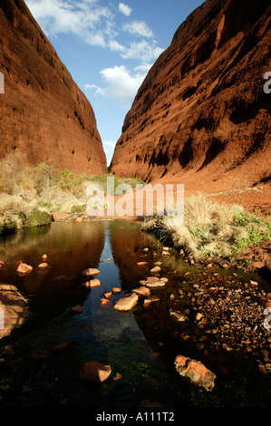 The two domes of the Valley of the Winds,  Olgas / Kata Tjuta, Red Centre, Northern Territory, Australia Stock Photo