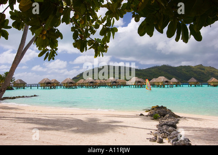 Windsailer, Pearl Beach Resort, Bora Bora Lagoon, French Polynesia, Stock Photo