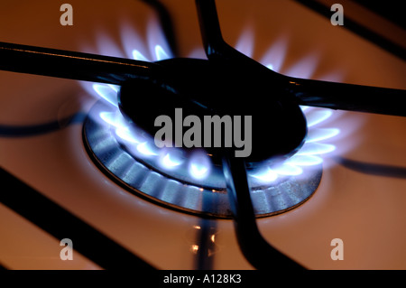 Gas stove flame Stock Photo