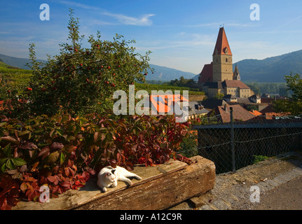Picturesque town of Weissenkirchen in Lower Austria Stock Photo