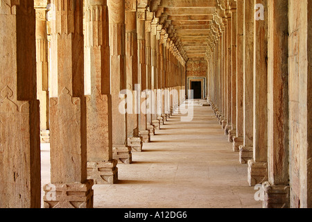 Jama Masjid passage with pillars, Mandu, Madhya Pradesh, India Stock Photo