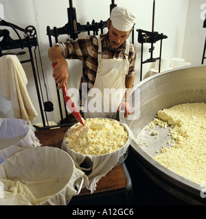 Charles Martell making his Single Gloucester Cheese  at Dymock Gloucestershire Stock Photo