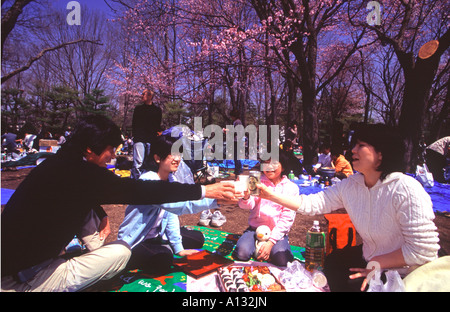 A family enjoys a picnic under the cherry blossoms in Maruyama Park, Sapporo Hokkaido Japan Stock Photo