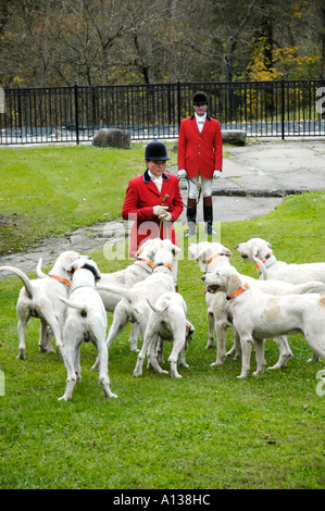 Huntsmen with foxhounds Stock Photo