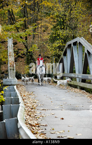 Huntsman and foxhounds on bridge Stock Photo