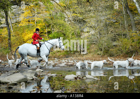 Female Huntsman and foxhounds crossing Boone's Creek Stock Photo