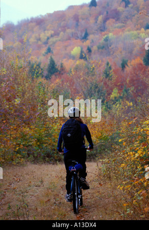 Mountain Biking on an old logging road near Loon Mountain in Lincoln Fall White Mountain N F NH Stock Photo