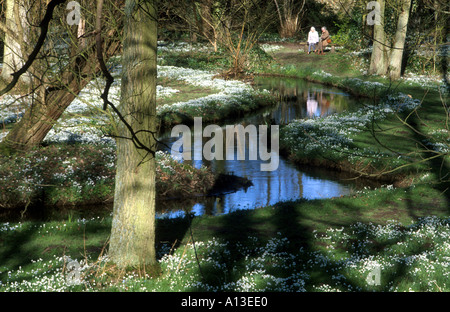 COUPLE ON RIVERSIDE,  SNOWDROP WALK,   WALSINGHAM ABBEY,  NORTH NORFOLK EAST  ANGLIA  ENGLAND UK Stock Photo