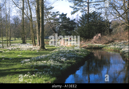 RIVER AND SNOWDROP WALK,   WALSINGHAM ABBEY,  NORTH NORFOLK EAST  ANGLIA  ENGLAND UK Stock Photo