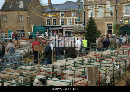 CHRISTMAS FATSTOCK MARKET IN UPPINGHAM, RUTLAND Stock Photo